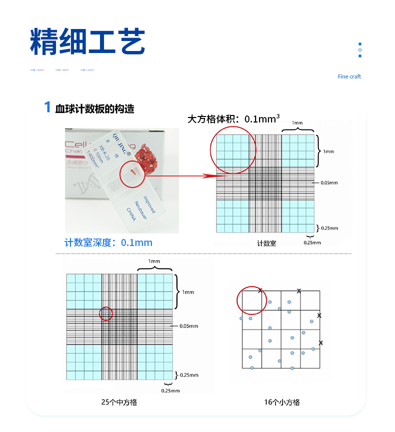 新-血细胞计数板详情_12.jpg