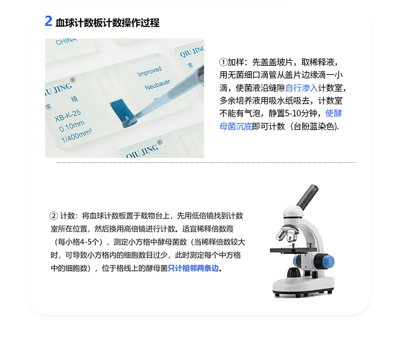 新-血细胞计数板详情_13.jpg